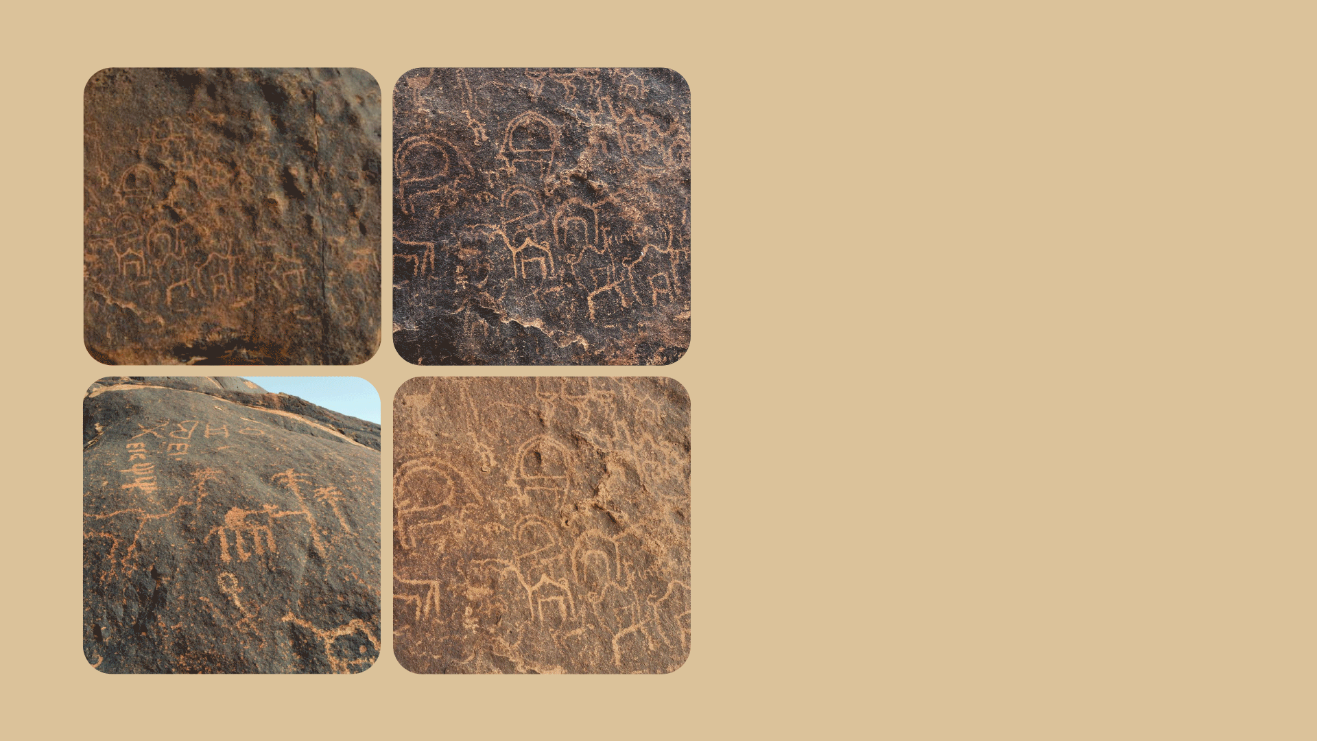 c4727c24-1b81-45b2-9fb9-eed9d48ee289